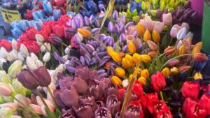 flores