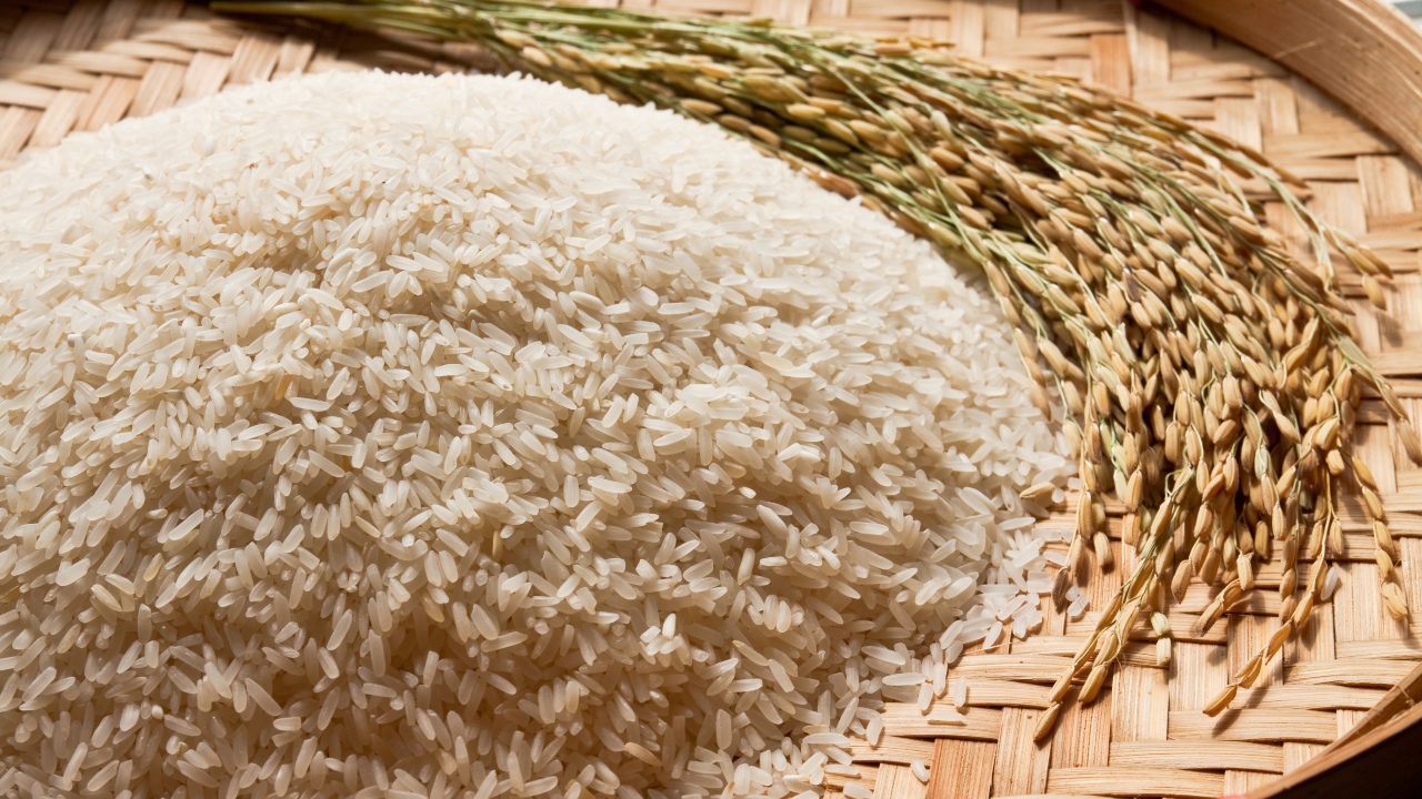tipos de arroz