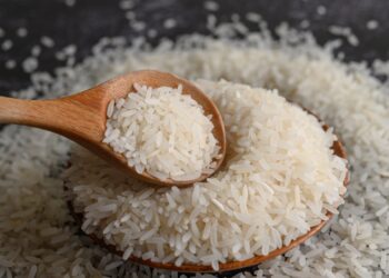 tipos de arroz