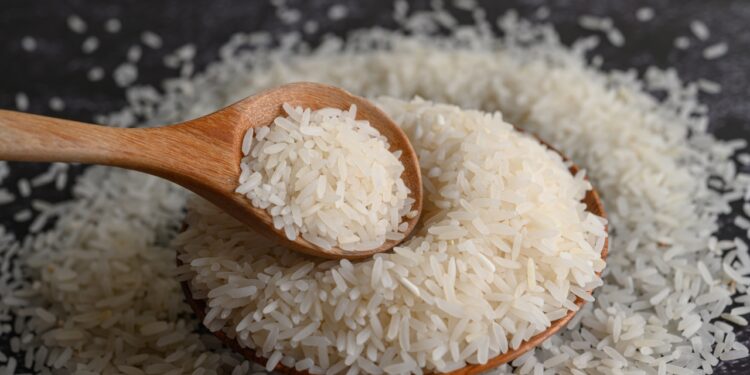 tipos de arroz