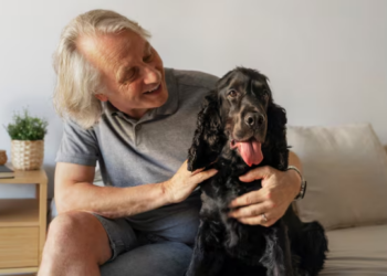 Inimigos silenciosos - entenda os problemas renais em pets. Foto: FreePik