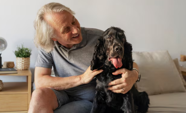 Inimigos silenciosos - entenda os problemas renais em pets. Foto: FreePik