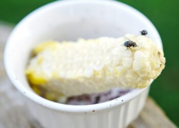 receita caseira