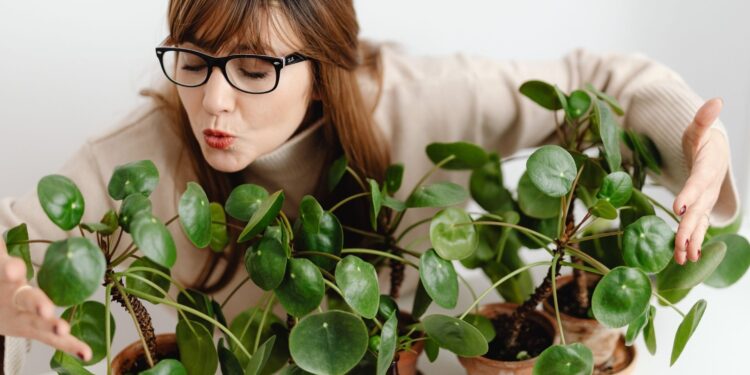 pegar-plantas