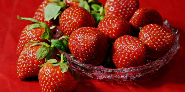 morango