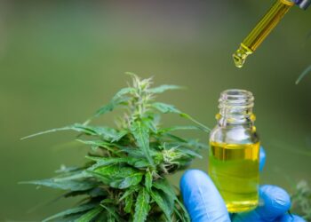 cannabis