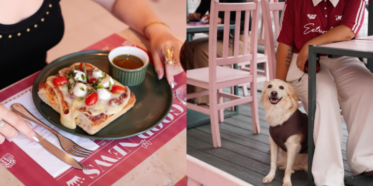 Cafeteria pet friendly