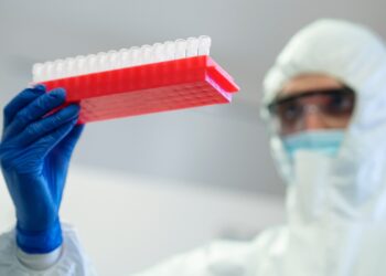 ebola em São Paulo