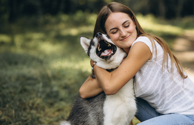 Com quem fica o pet após a separação? Foto: Magnific