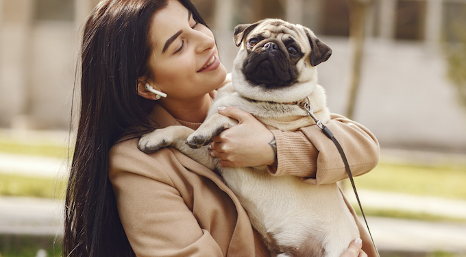 Com quem fica o pet após a separação? Foto: Magnific