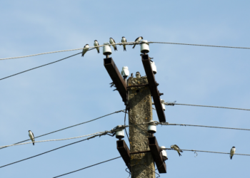 Você está pagando caro pela sua internet? Descubra! Foto: Magnific
