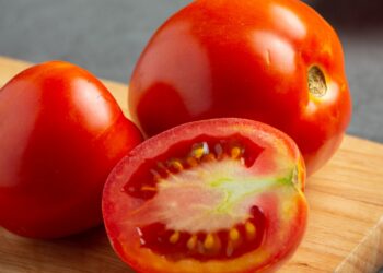 onde guardar tomate