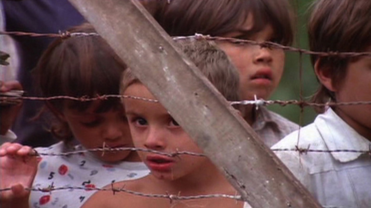 Tela Brasil