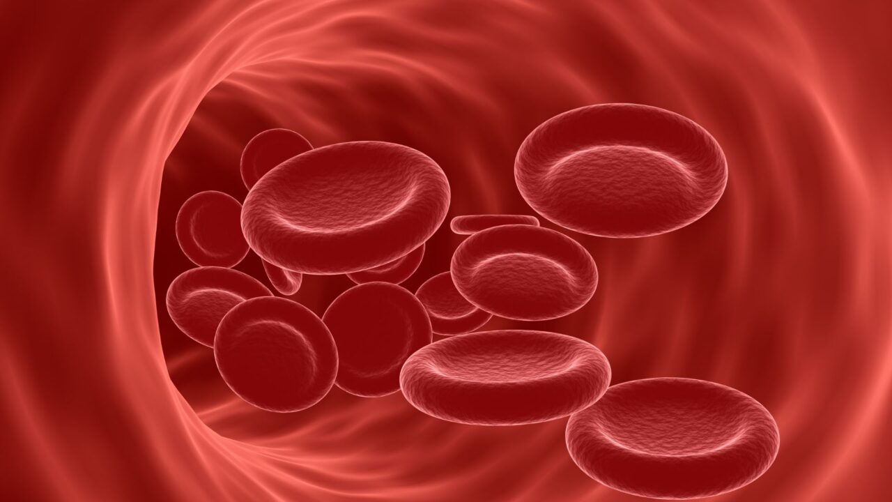 saúde-vascular
