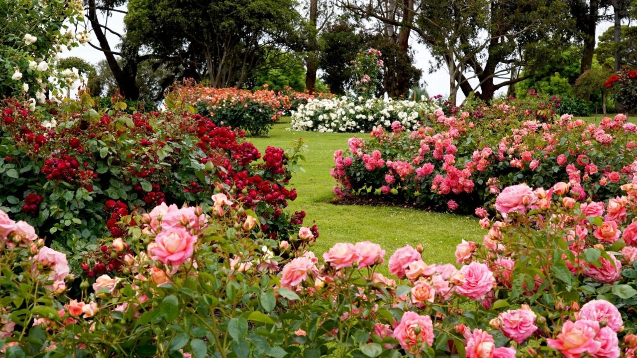 jardim-saudável