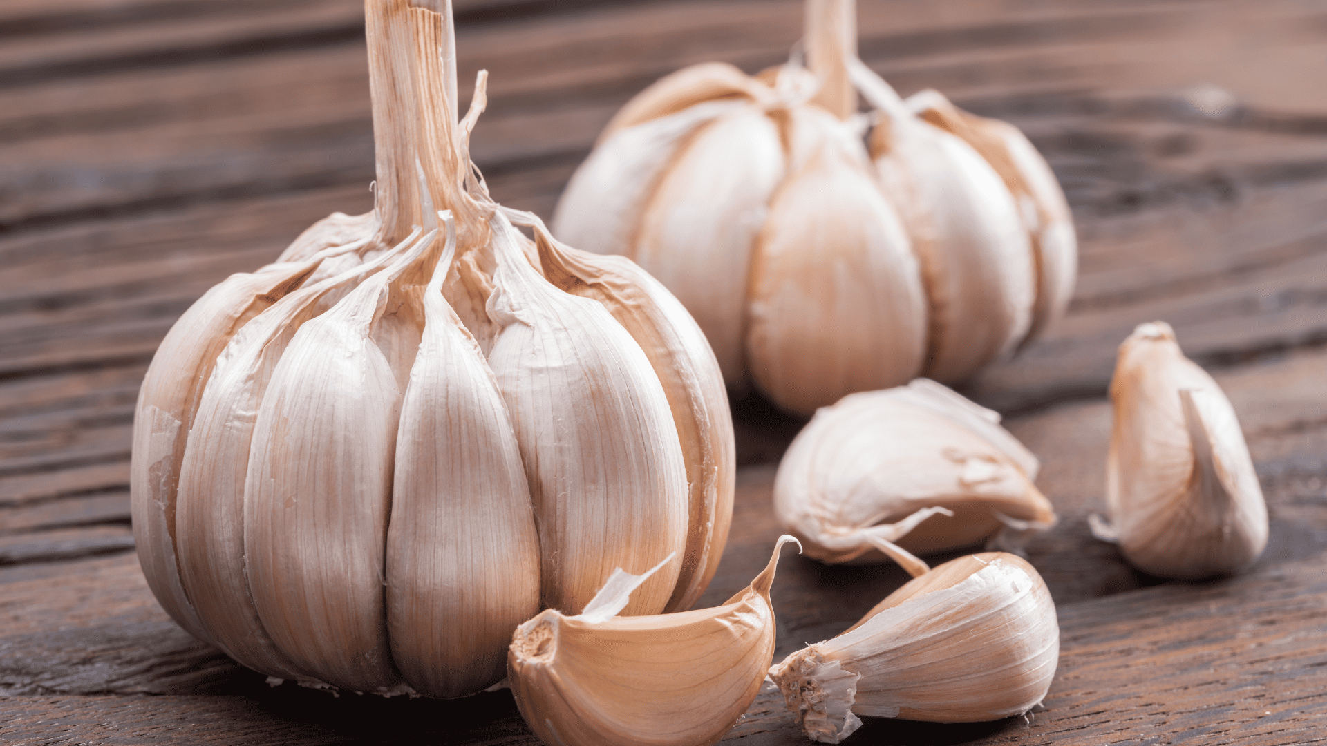Chá de alho funciona? Entenda os benefícios e aprenda 3 receitas práticas. Crédito: Canva