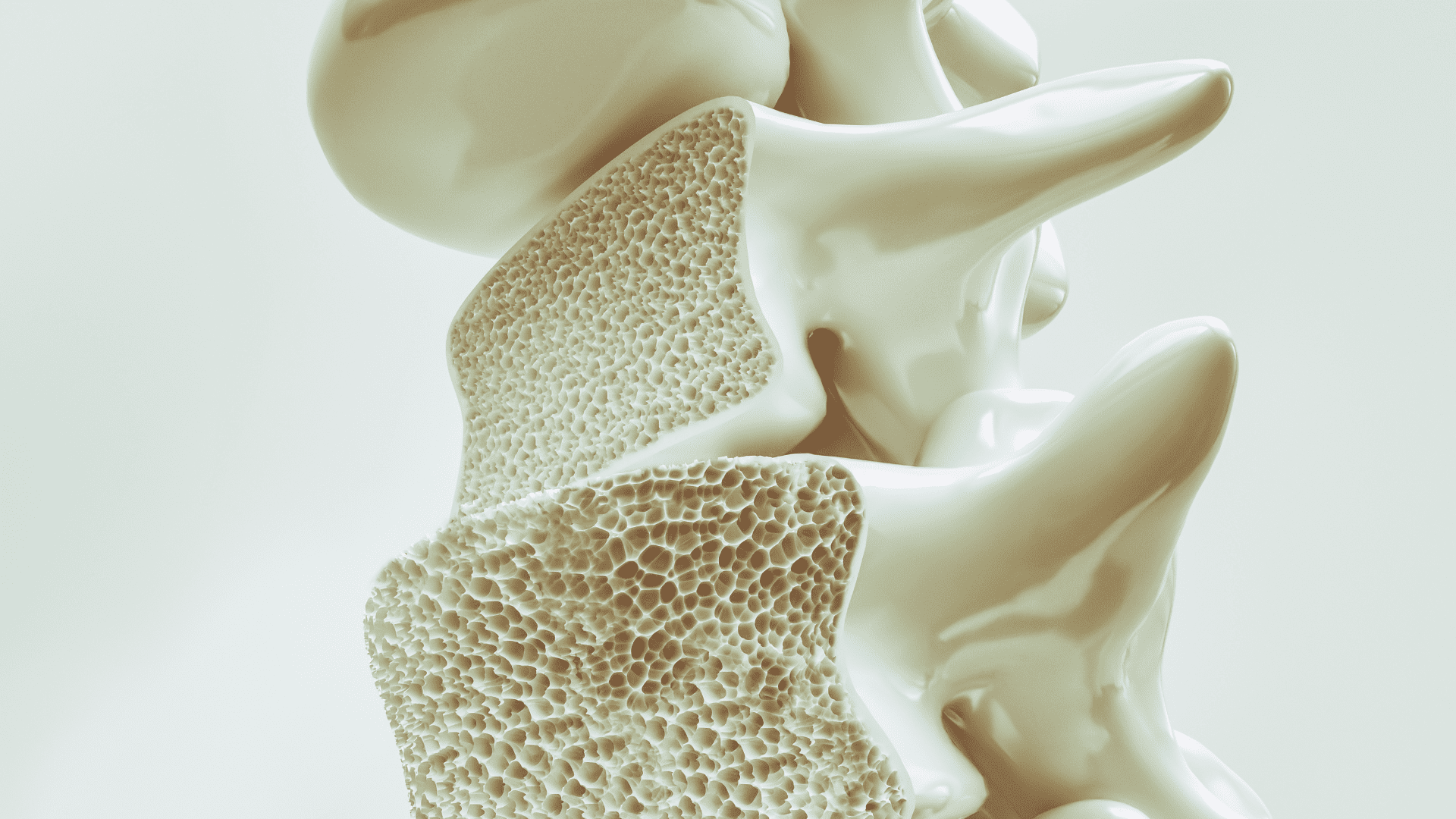 Menopausa e osteoporose saiba como preparar o corpo para envelhecer com força. Crédito: Canva
