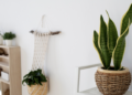 Descubra como decorar o cômodo mais esquecido da casa com opções lindas, fáceis de cuidar e que sobrevivem até com pouca luz natural. Foto: Magnific