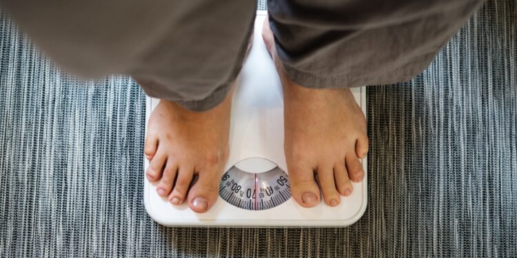 obesidade no Brasil