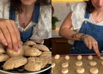 biscoitos-não-me-toques