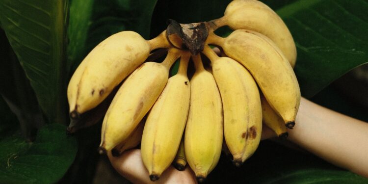 banana