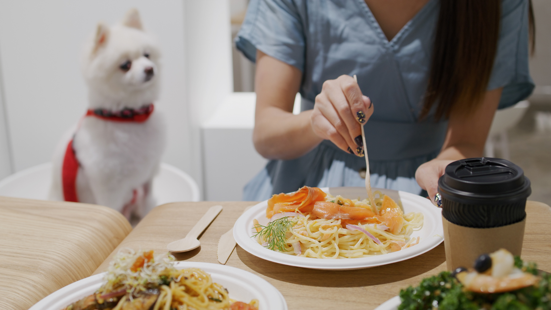 Encontre locais charmosos com espaços pet friendly para curtir um bom almoço. Crédito: Canva