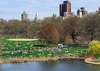 Central Park, em Nova York, reúne famílias e visitantes nos gramados durante um dia de verão