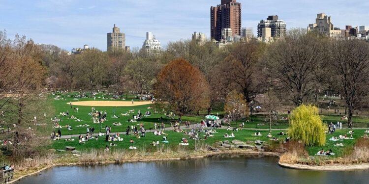 Central Park, em Nova York, reúne famílias e visitantes nos gramados durante um dia de verão