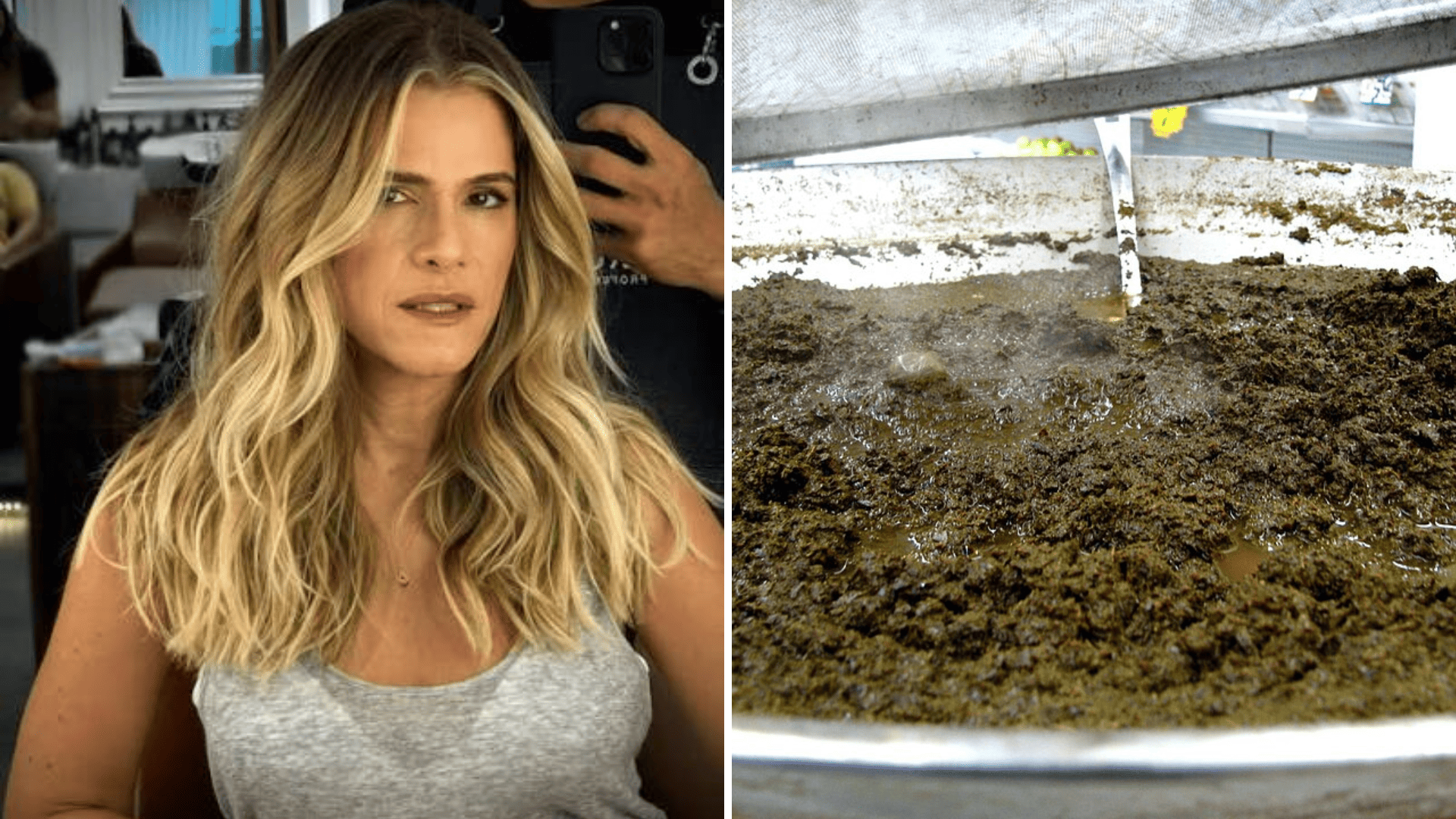 Conheça a maniçoba, prato típico do Pará que é o favorito de Ingrid Guimarães