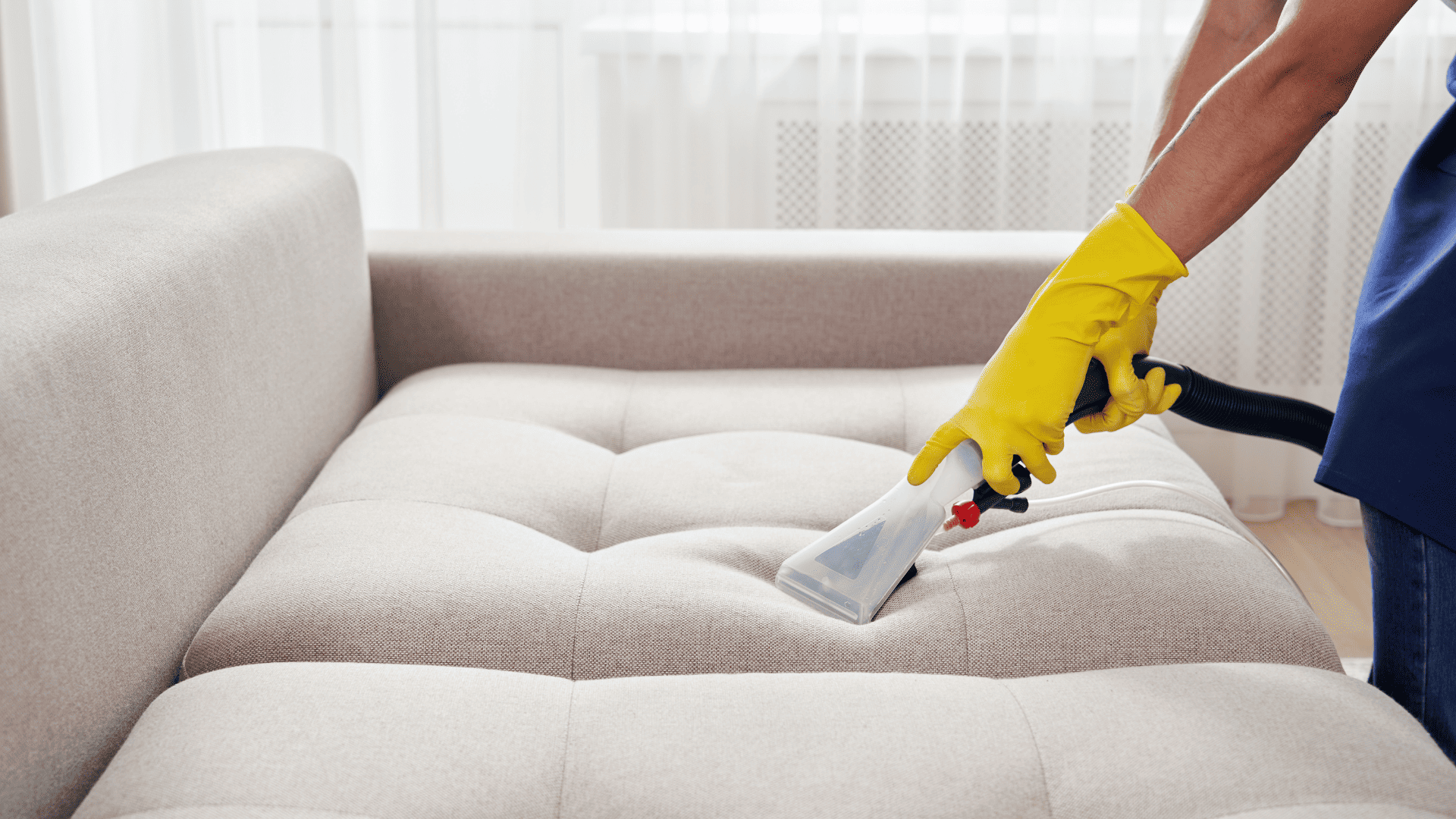 Saiba como limpar o sofá em casa e tirar manchas com truques fáceis. Crédito: Canva