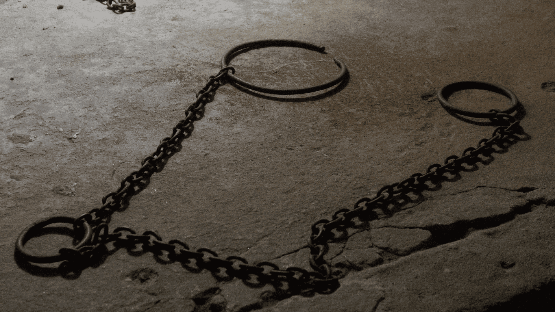 Trabalho análogo à escravidão entenda como identificar e denunciar esse crime. Crédito: Canva