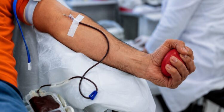 Doar sangue é um ato de amor que pode ajudar outras quatro vidas: faça sua parte. Foto: Ilustrativa.