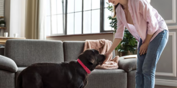 Como limpar o "cheiro do pet"! Foto: Magnific