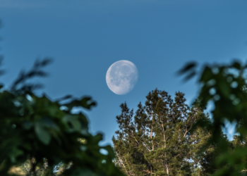 Lua dos Cervos