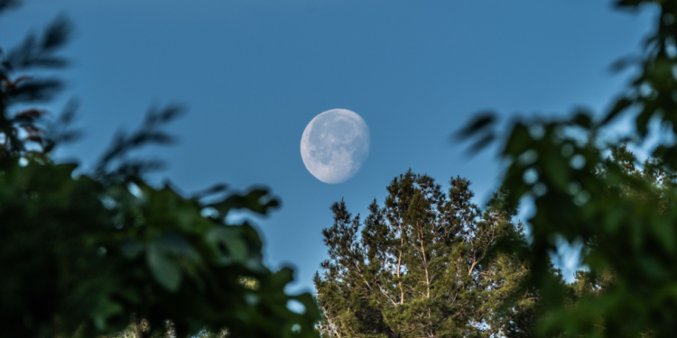 Lua dos Cervos