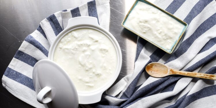 Tudo o que você precisa saber para não errar no iogurte caseiro - Crédito: pexels/
elif tekkaya